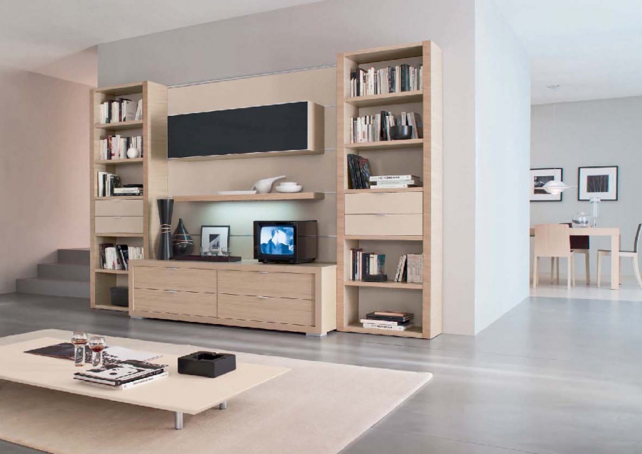 living room storage systems