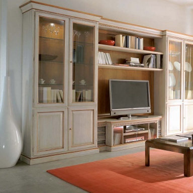 a Cabinet for the TV Arena