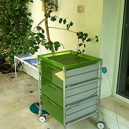 Dresser Trolley Festival