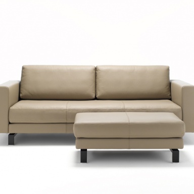 The Vida Sofa Sofa