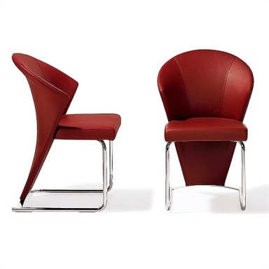 Chair Ronald Schmitt