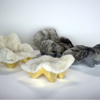 Chair Duke & Duchess