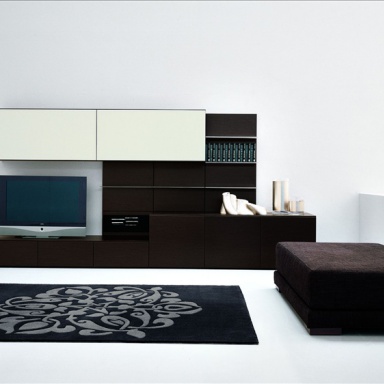 Modular system for the living room