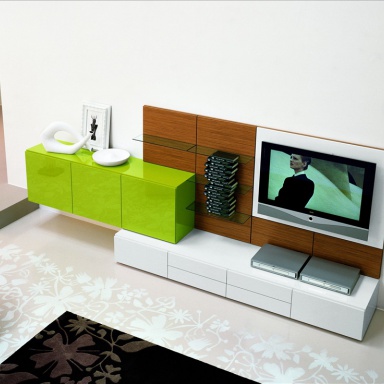 Modular system for the living room