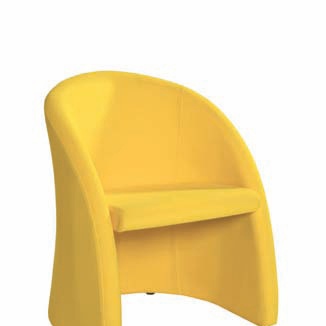 Chair Domingo Salotti