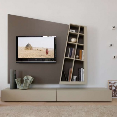 modular system for TV