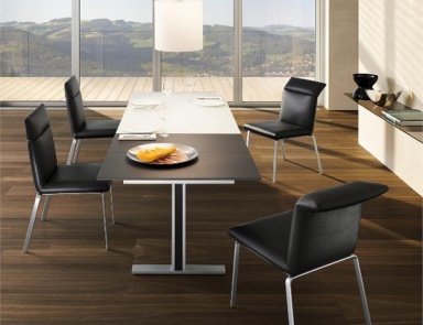 Set for the dining room, Ronald Schmitt