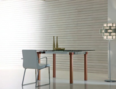 Dining table, Glass&Glass