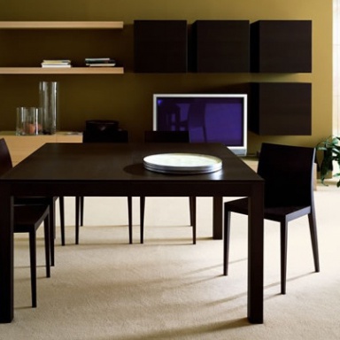 Dining room (furniture dining room)