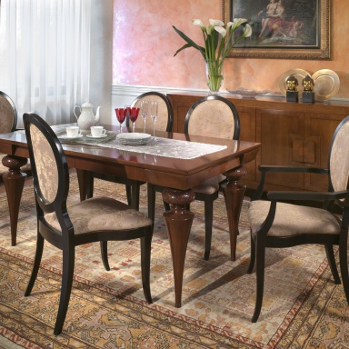 Dining room (furniture dining room)