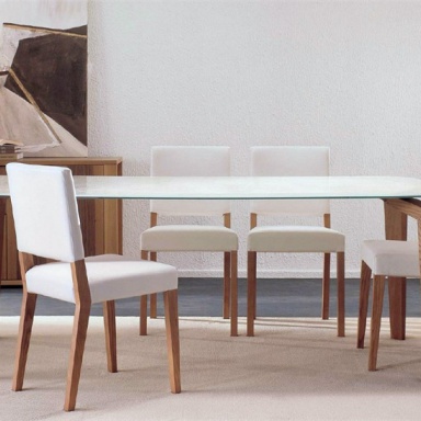 Dining room (furniture dining room)