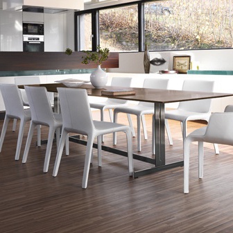 Dining room (furniture dining room)