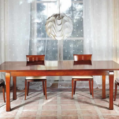 Dining room (furniture dining room)