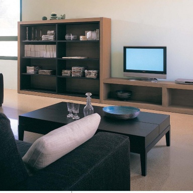 Modular system for the living room