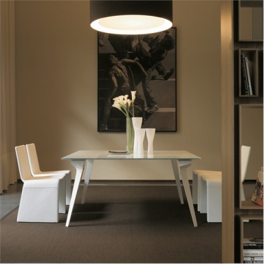 Dining room (furniture dining room)