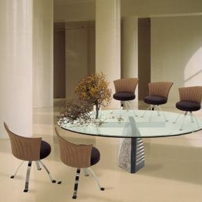 Dining room (furniture dining room)