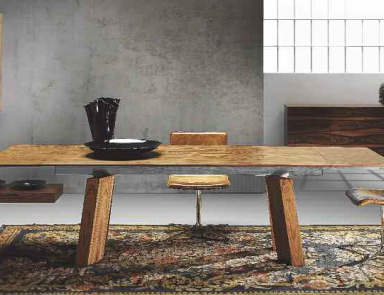 Dining room (dining set), Rattan wood