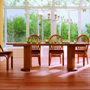 Dining room (furniture dining room)