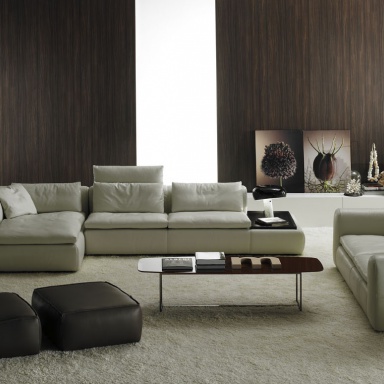 Living room (a Suite for the living room)