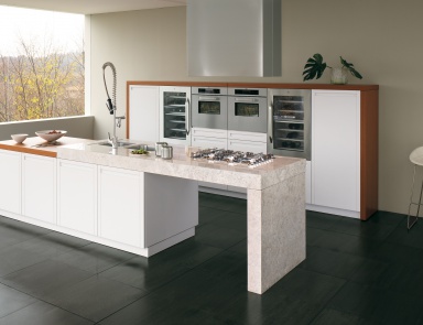 Kitchen (Suite kitchen) with island Terra SNAIDERO