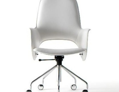 A chair on wheels, Tender D - Fasem