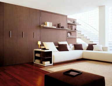 A pull - out sofa, Clei