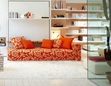 A pull - out sofa, Clei