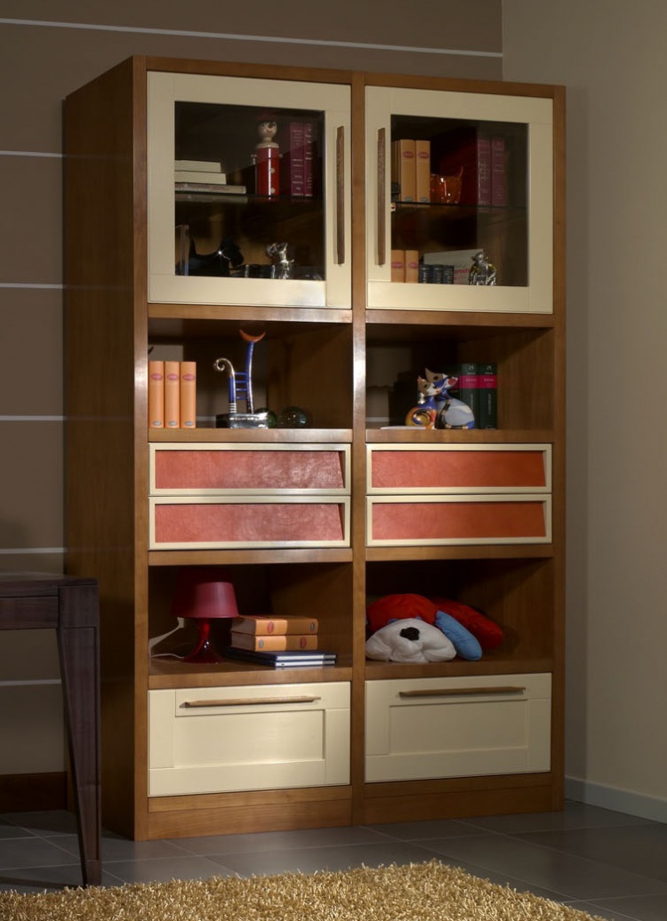 The bookcase in the nursery factory Arca