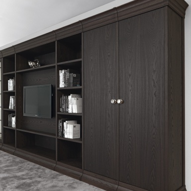 Modular system Biblioteka