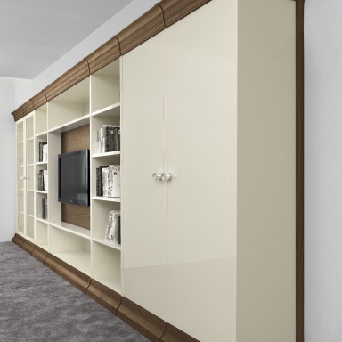 Modular system Biblioteka