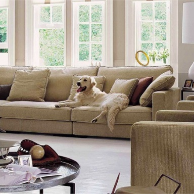 Sofa Long Island