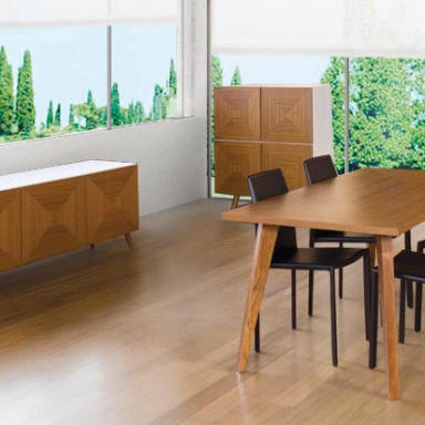 dining room (dining set)