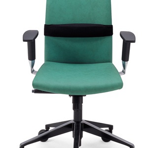 The chair of the working