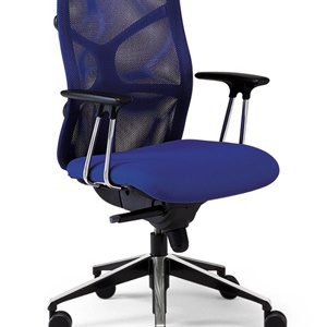 The chair of the working