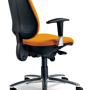 The chair of the working