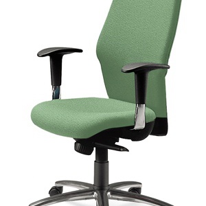 The chair of the working