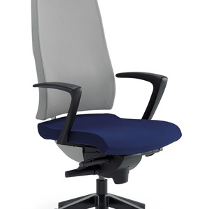 The chair of the working