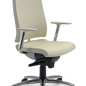 The chair of the working