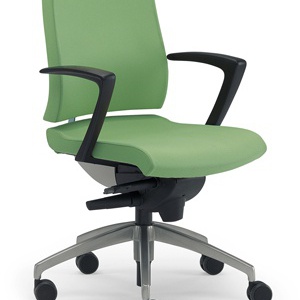 The chair of the working