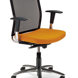 The chair of the working