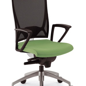 The chair of the working