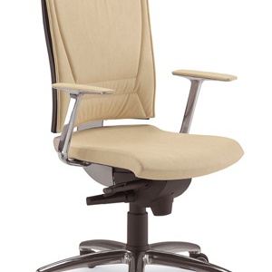 The chair of the working