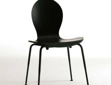 Chair, Fasem