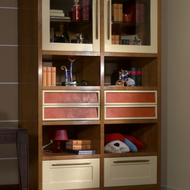 The bookcase in the nursery