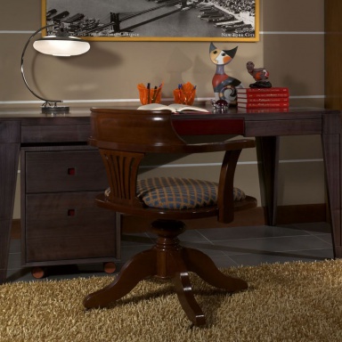 A Desk in the nursery