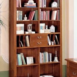 Bookcase D515