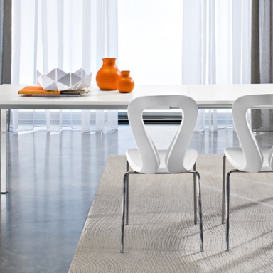 Dining room (furniture dining room)