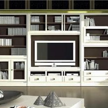 Modular storage system