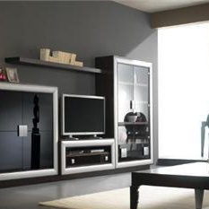 Modular storage system