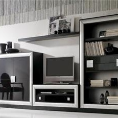 Modular storage system